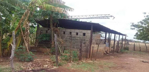Imagen 7 de 26 de Finca En Venta ,calabozo Guarda Tinajas