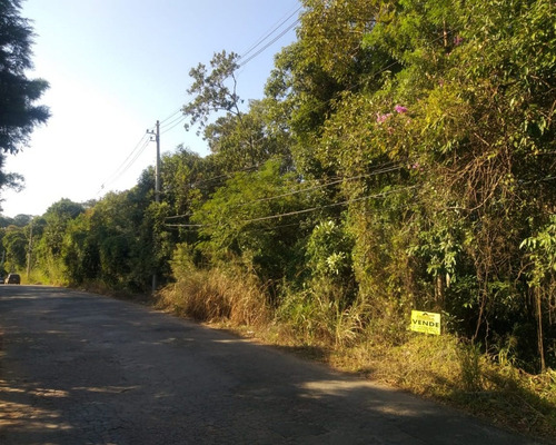 Imagem 3 de 7 de Terreno - Te00409 - 1516700