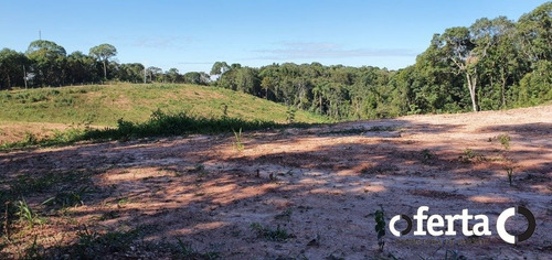 Imagem 6 de 10 de Chacara - Bugre - Ref: 709 - V-709