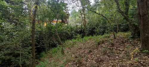 Terreno Enventa En Piedra De Agua En Jilotepec Veracruz