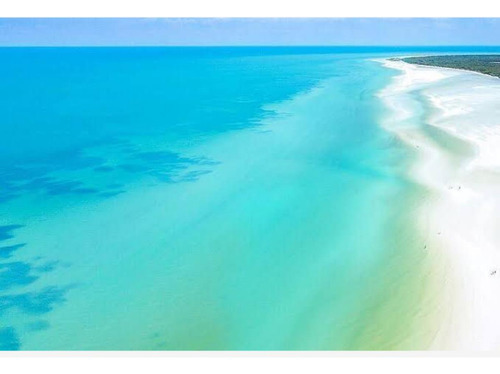 Terreno En Venta En Isla De Holbox