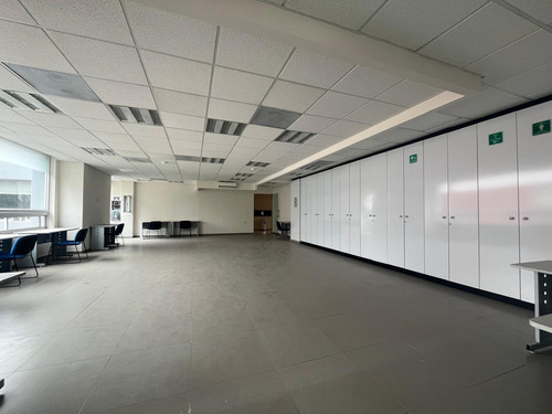 Oficina En Renta- Hamburgo - Piso 5 - 185m2