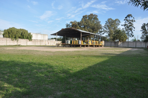 Imagen 12 de 14 de Depósito Y Terreno 10.000m2. Ingreso P/ Avenida Y Calle Lat.
