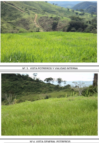 Venta De Finca Ganadera De 1000 Hectareas, Facil Acceso En Nirgua Yaracuy (salom)2