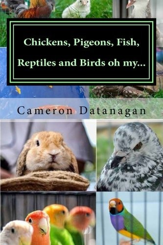 Chickens, Pigeons, Fish, Reptiles And Birds Oh My Pets Of Th