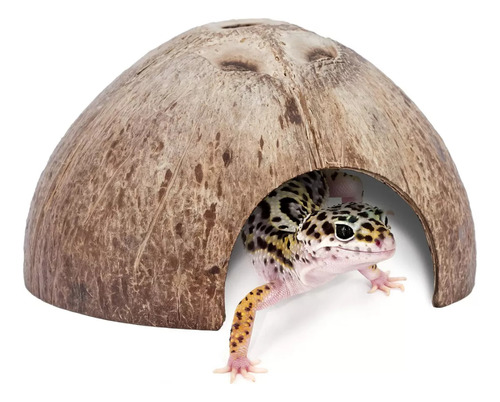 Escondite Cueva De Coco Natural Para Reptiles Peces Tortugas
