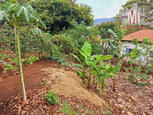 Imagem 21 de 29 de Ótima Chácara Com 2 Dormitórios, Pomar, Horta À Venda, 1400 M² Por R$ 250.000 - Rural - Socorro/sp - Ch1088
