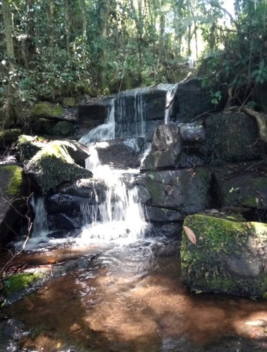 Imagem 19 de 29 de Vendo Terreno 260.000m² Ou 26,1ha Em Guapiara Sp Opções: Plantio, Criação De Gado, Turismo E Outros