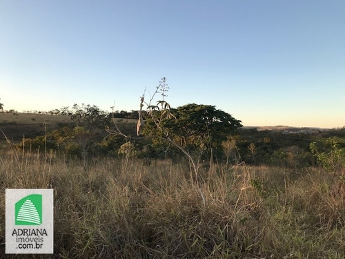 Imagem 5 de 14 de Venda Chácaras De 20.000 Mts² Próximo Rio Pianco Município De Abadiânia - 6158