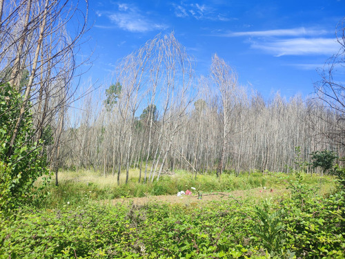 Venta De Terreno Agricola En Santa Juana