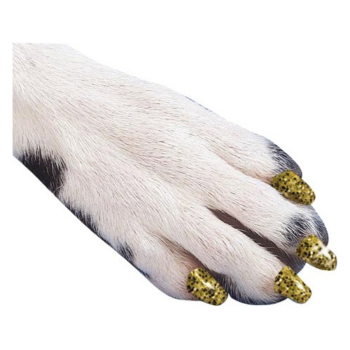 Soft Claws Canine Dog And Cat Nail Caps Take Home Kit, Media