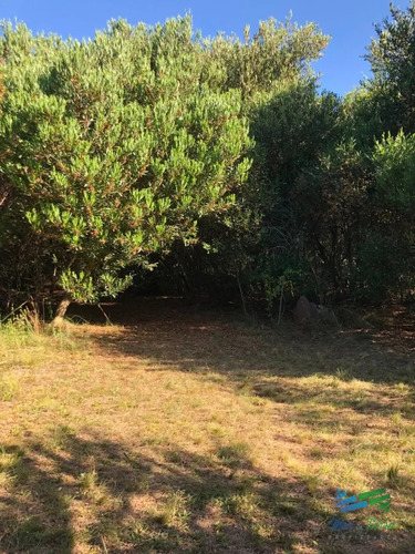 Bajo De Precio ! Chacra 5 Has Con Casa Y Las Mejores Vistas De Las Sierras A 50 Minutos De Punta !