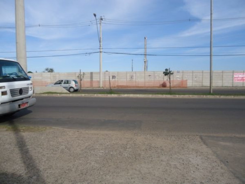 Terreno Em Aberta Dos Morros - Mi12604