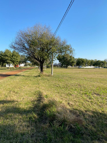 Imagen 6 de 8 de Lotes En Venta