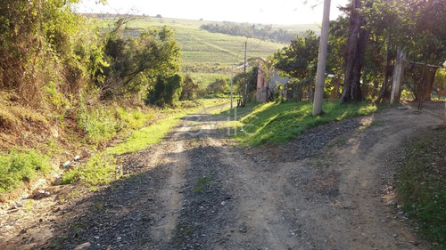 Imagem 10 de 11 de Chácara À Venda Em Chácaras Planalto - Ch008993