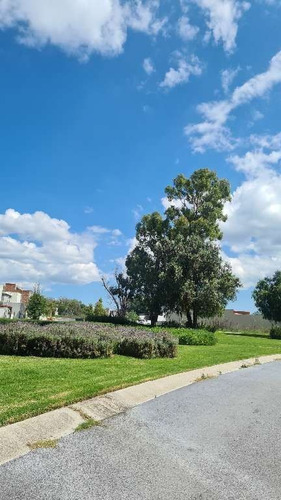 Imagen 13 de 18 de Terreno En Venta, Fracc. Zirándaro En San Miguel De Allende