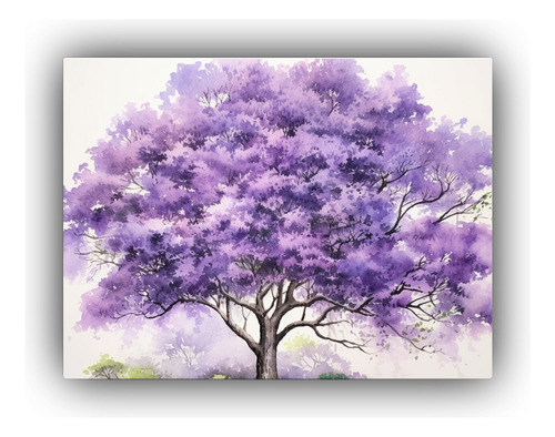 30x20cm Cuadro Jacaranda En Acuarela Vibrante Bastidor Mader