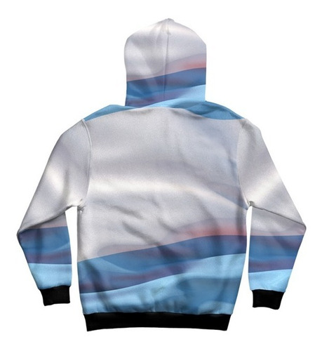 Imagen 2 de 2 de Buzo Hoodie Bandera Argentina