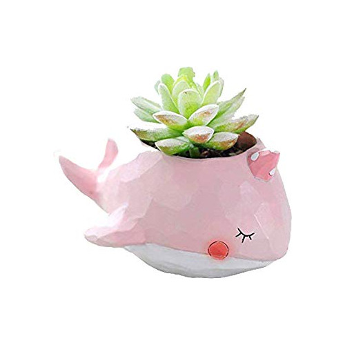 Pink Whale Succulent Planter Pots For Office House Balc...