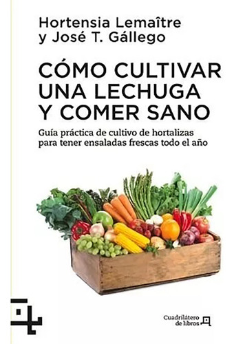 Como Cultivar Una Lechuga Y Comer Sano - #w