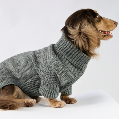 Suéter De Cuello De Cuello De Perro De Agua Física, Abrigo D