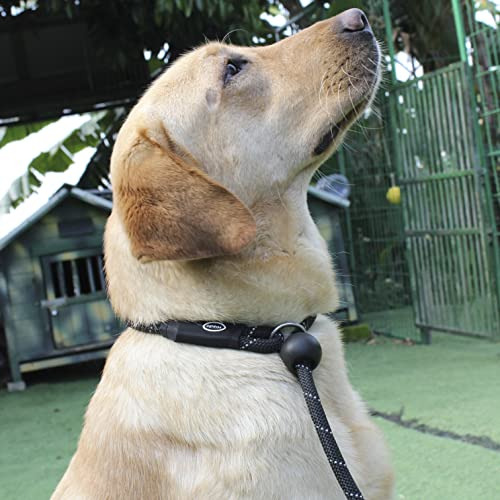 Hiado Slip Lead Dog Leash Reflective Con Stopper Loop Rope T