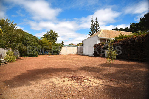 Terreno En Algarrobo Central
