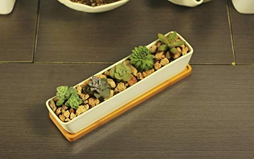 Maceta Rectangular Cerámica Blanca 27.4 Cm Para Suculentas Y