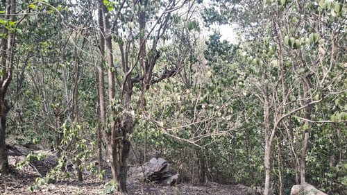 Remato Tres Terrenos En Huerta Grande, Sierras De Cordoba