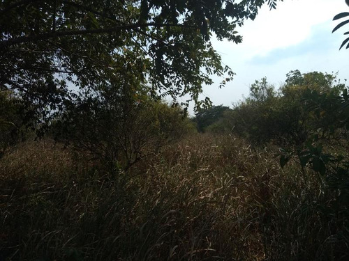 Vendo Terreno 15,000 M² Juana Moza Tuxpan Veracruz