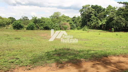 Imagen 6 de 6 de Venta De Terrenos En Masaya