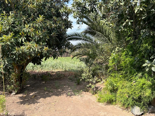 Sitio En Venta En Llayllay
