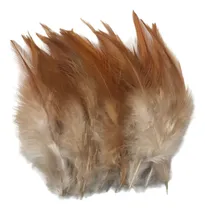 Comprar 50 Plumas Faisán Sueltas Chicas 10-15cm Artesanías Café 