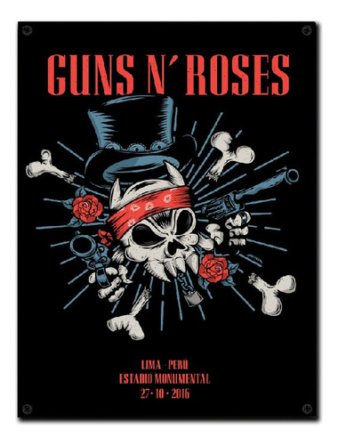 #256 - Cuadro Vintage 30 X 40 - Guns N' Roses - No Chapa 