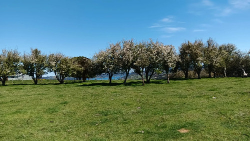 Terreno Quetalco 10 Hectáreas