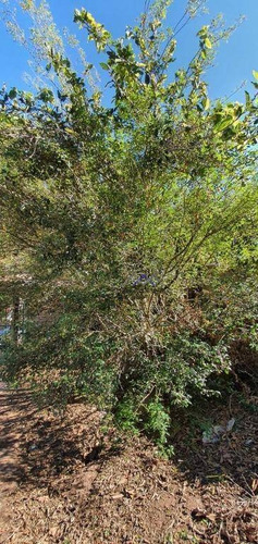 Imagem 3 de 28 de Chácara À Venda, 1000 M² Por R$ 550.000,00 - Medeiros - Jundiaí/sp - Ch0054