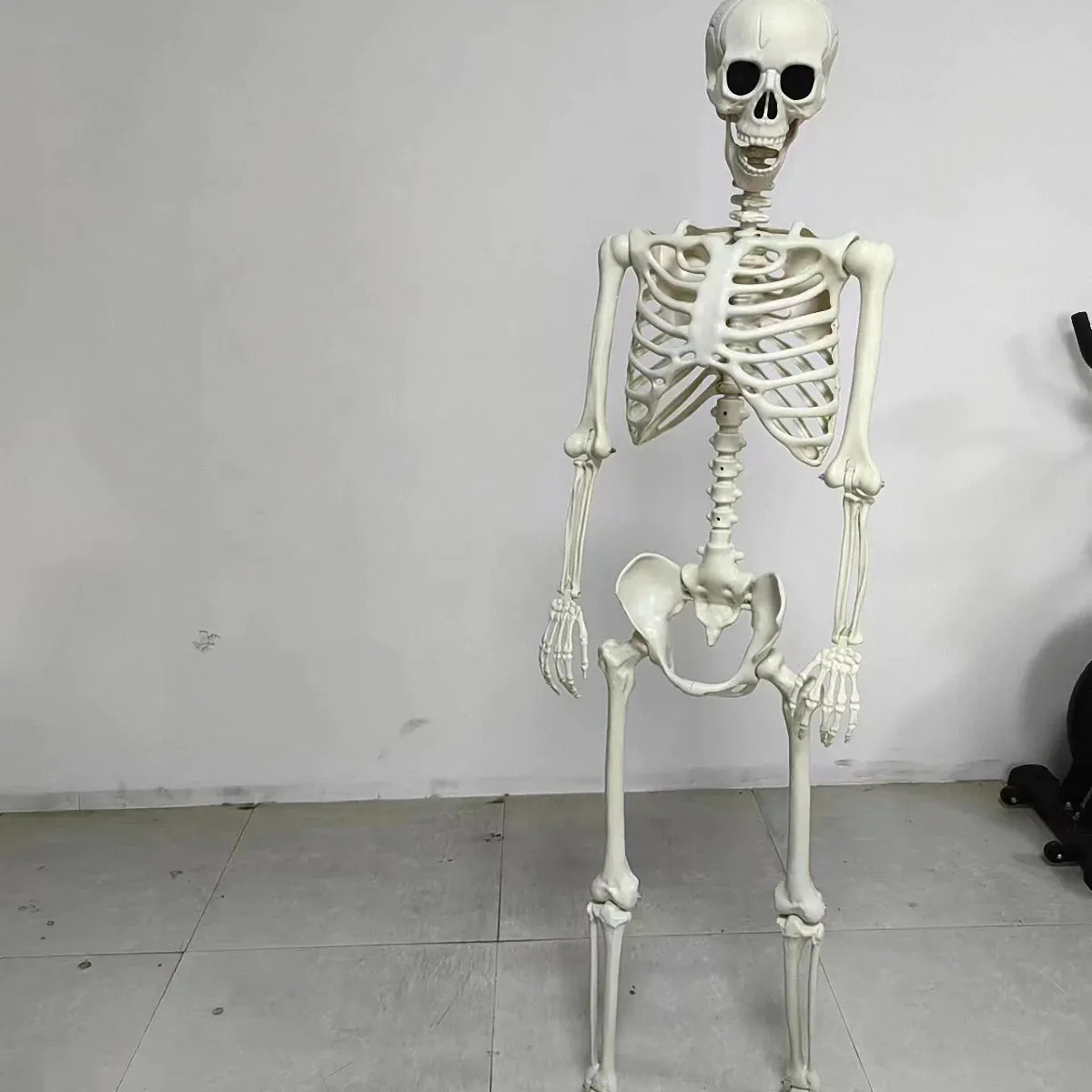 Decoración Halloween Esqueleto Humano 1.65 Metros Articulado Gris