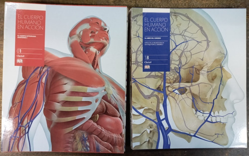 Imagen 1 de 10 de El Cuerpo Humano En Accion * 28 Tomos * Completo * Dk *