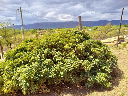 Complejo De Tres Cabañas En Santa Monoica De Calamuchita