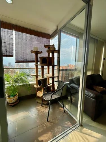 Apartamento En Arriendo En Castropol. Cod A22118