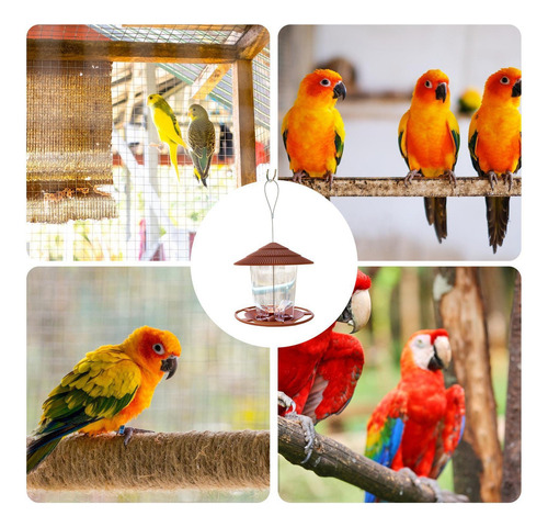 Q S Para Pájaros Para Exteriores Para Pájaros Silvestres Al