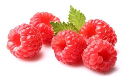 Imagen 3 de 5 de 15 Semillas De Planta Frutal Trepadora Fresas O Frambruesa