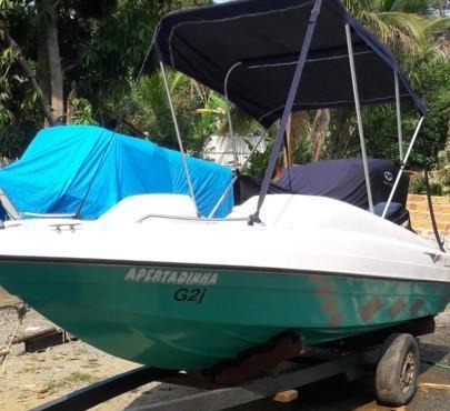 Imagem 7 de 15 de Lancha Passeio - Wellcraft 17pes 90hp - 5lug