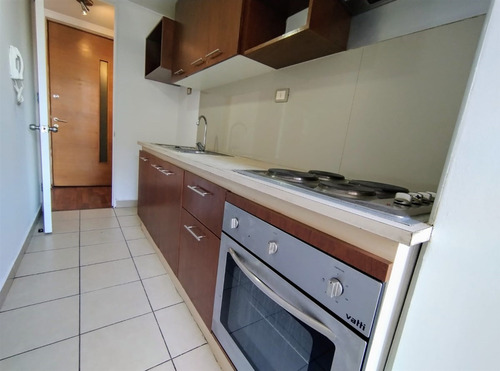 Ideal Inversión En Carmen Con Argomedo