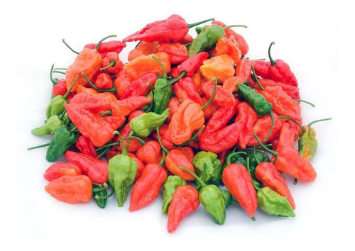 Bhut Jolokia A Pimenta Mais Ardida Do Mundo - Frete Grátis!