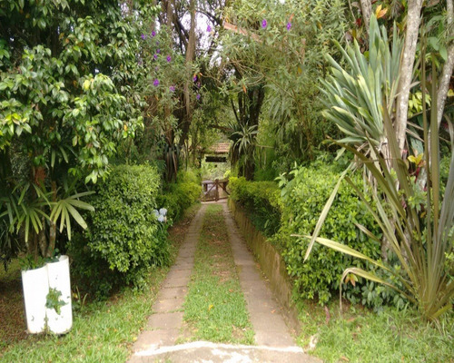 Chácara 3.500 M² - Palermo - Gravataí - Rs - 1080 - 32419601