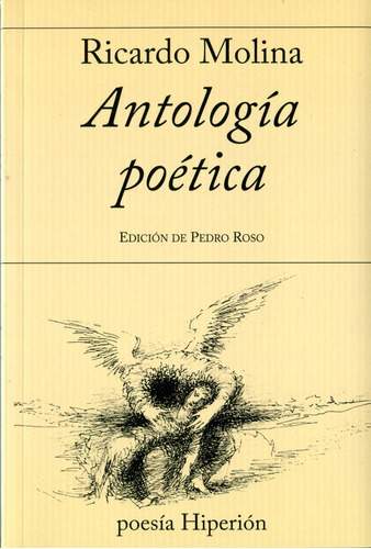 Libro Antologã­a Poã©tica - Molina, Ricardo