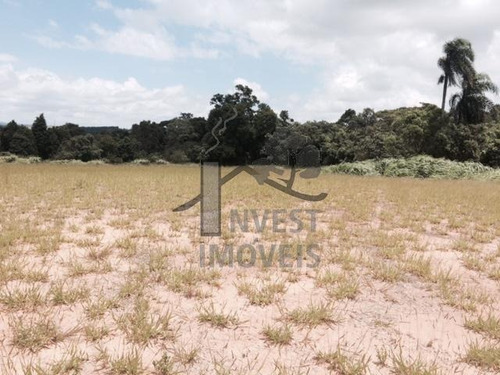 Imagem 1 de 4 de Cód 1170 - Lindo Terreno De 36.000 M² Com Um Platô De 5.000 - 1170