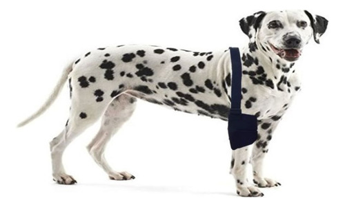 Soporte De Codo Para Perros, Ortopedia Canina