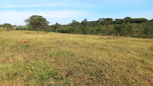 Imagem 19 de 19 de Sítio A 1,5km De Mirassol